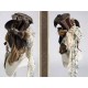 Classical Puppets Steam Punk Little Red Riding Hood Set(Leftovers/Full Payment Without Shipping)
